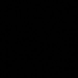 Meet your Posher, Faith